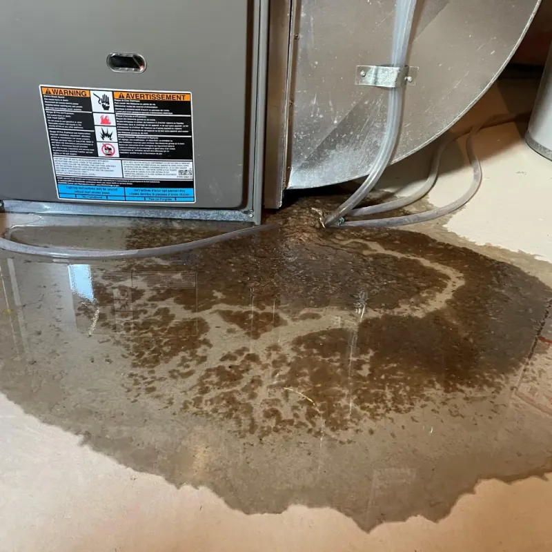 Appliance Leak Cleanup in Brundidge, AL